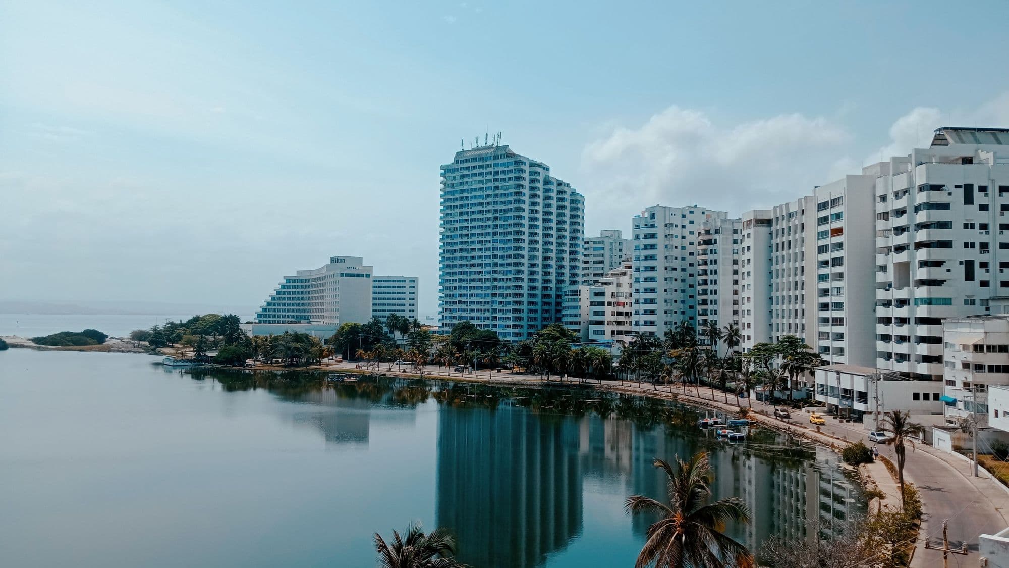 Waterfront skyline with modern towers and palm trees