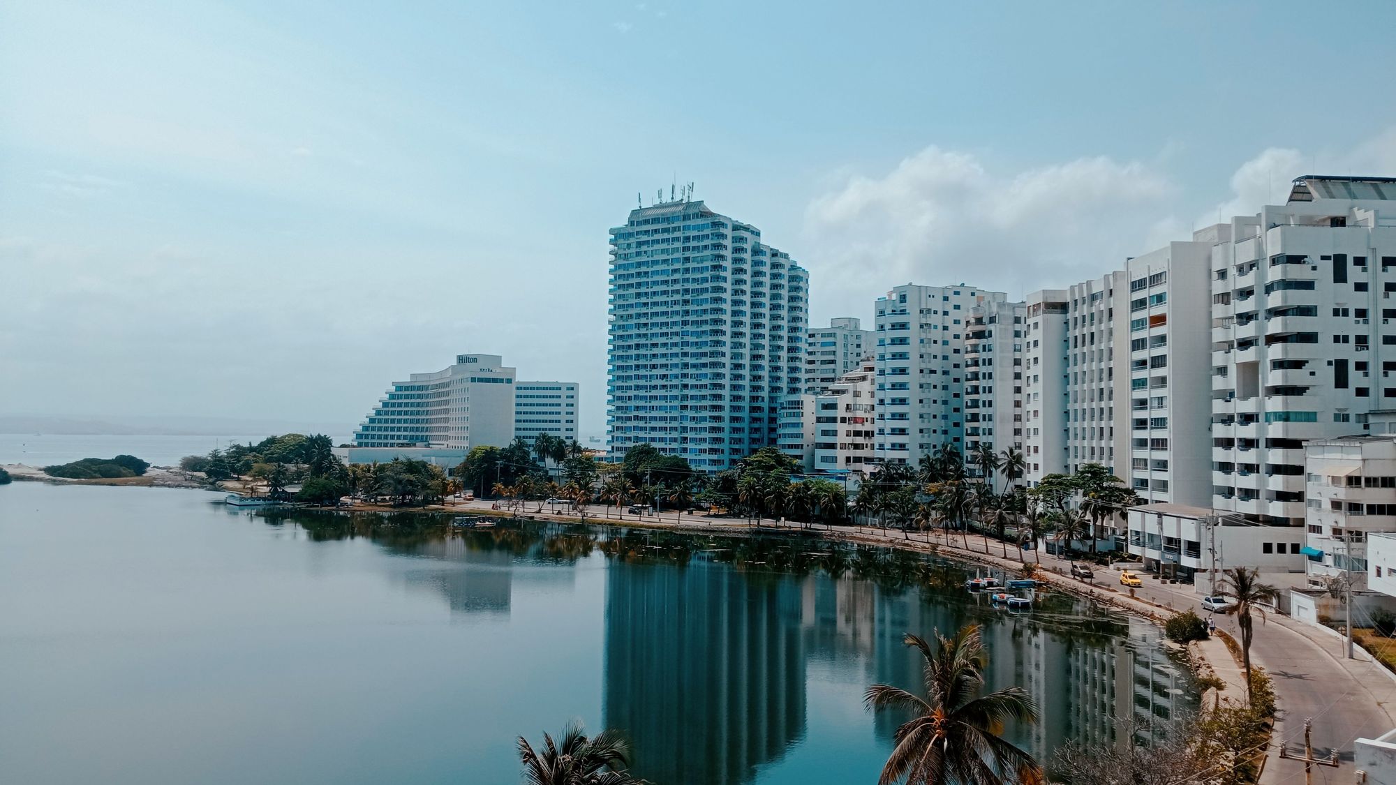 Waterfront skyline with modern towers and palm trees